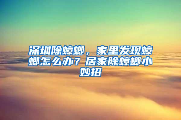 深圳除蟑螂，家里发现蟑螂怎么办？居家除蟑螂小妙招