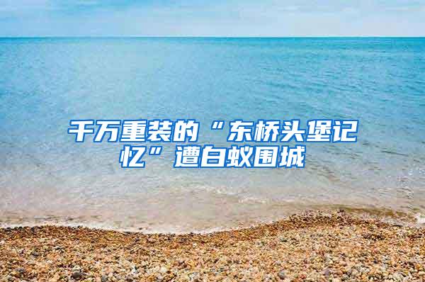 千万重装的“东桥头堡记忆”遭白蚁围城