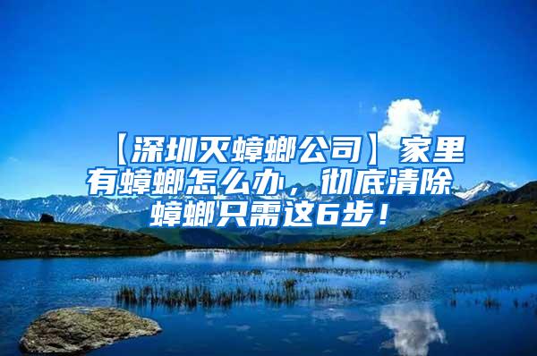 【深圳灭蟑螂公司】家里有蟑螂怎么办，彻底清除蟑螂只需这6步！