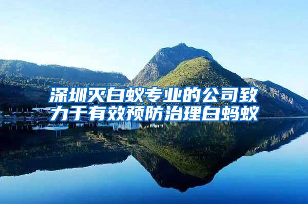 深圳灭白蚁专业的公司致力于有效预防治理白蚂蚁