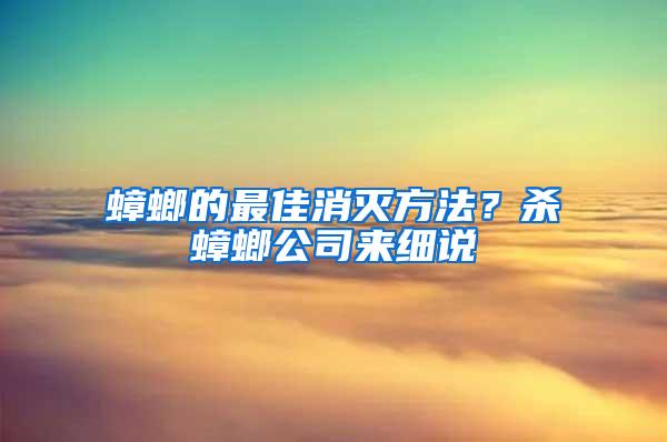 蟑螂的最佳消灭方法？杀蟑螂公司来细说