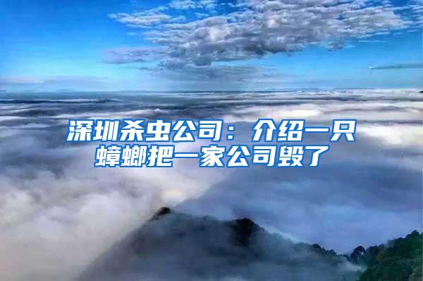 深圳杀虫公司：介绍一只蟑螂把一家公司毁了