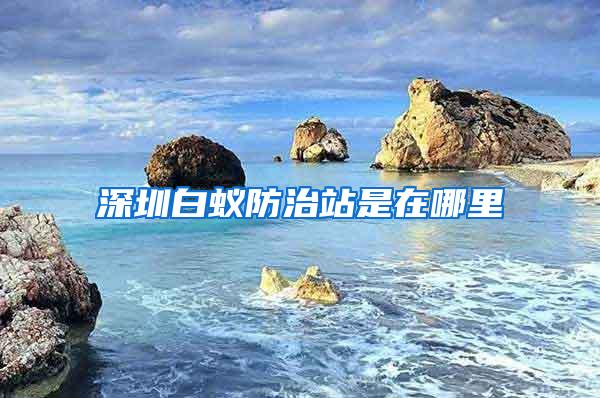 深圳白蚁防治站是在哪里