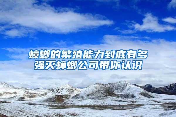 蟑螂的繁殖能力到底有多强灭蟑螂公司带你认识