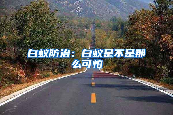 白蚁防治：白蚁是不是那么可怕