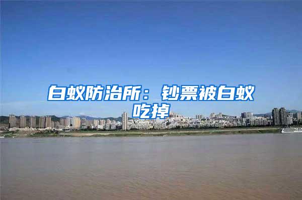 白蚁防治所：钞票被白蚁吃掉