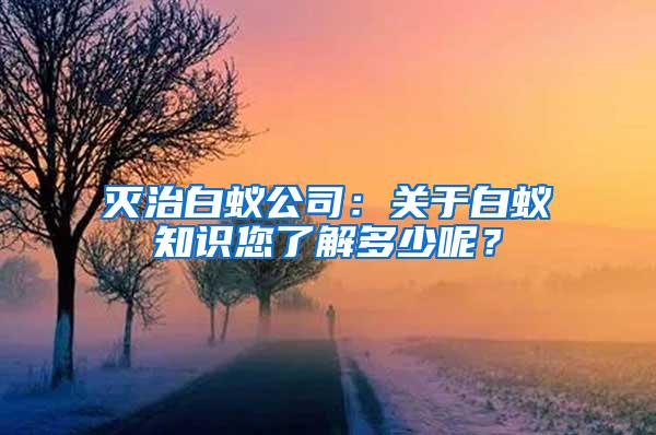 灭治白蚁公司：关于白蚁知识您了解多少呢？