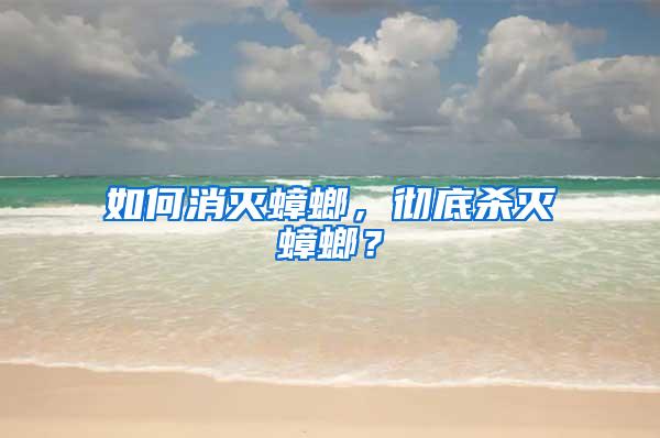 如何消灭蟑螂，彻底杀灭蟑螂？