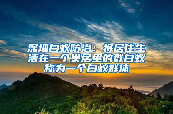 深圳白蚁防治：将居住生活在一个巢居里的群白蚁称为一个白蚁群体