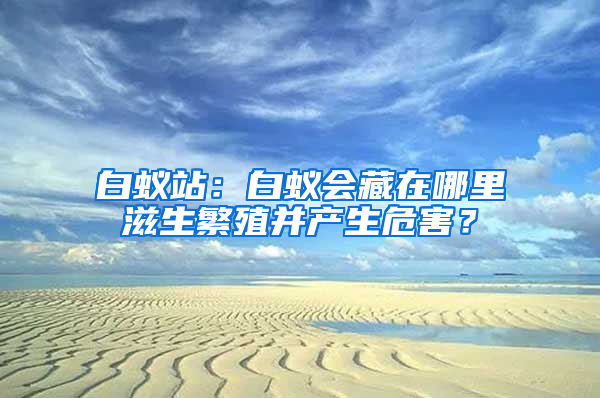 白蚁站：白蚁会藏在哪里滋生繁殖并产生危害？