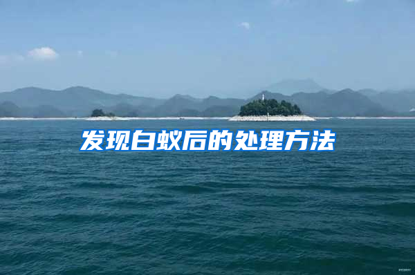 发现白蚁后的处理方法