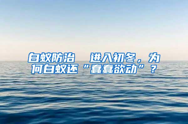 白蚁防治  进入初冬，为何白蚁还“蠢蠢欲动”？