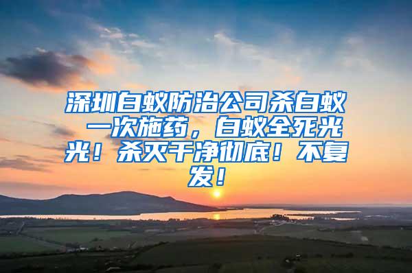 深圳白蚁防治公司杀白蚁 一次施药，白蚁全死光光！杀灭干净彻底！不复发！