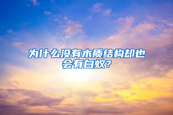 为什么没有木质结构却也会有白蚁？