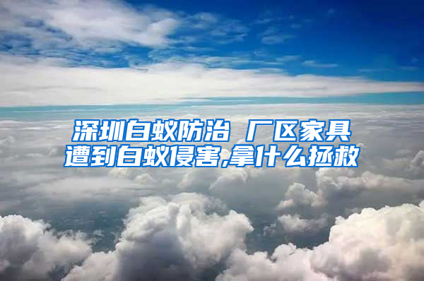 深圳白蚁防治 厂区家具遭到白蚁侵害,拿什么拯救