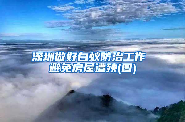 深圳做好白蚁防治工作 避免房屋遭殃(图)