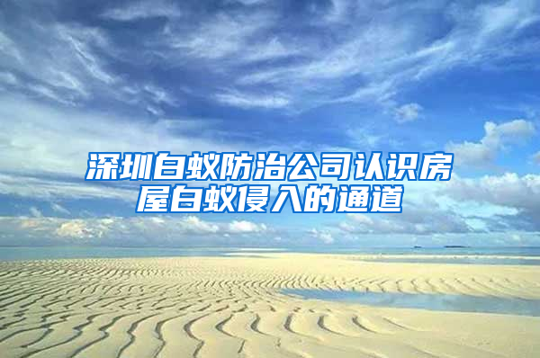 深圳白蚁防治公司认识房屋白蚁侵入的通道