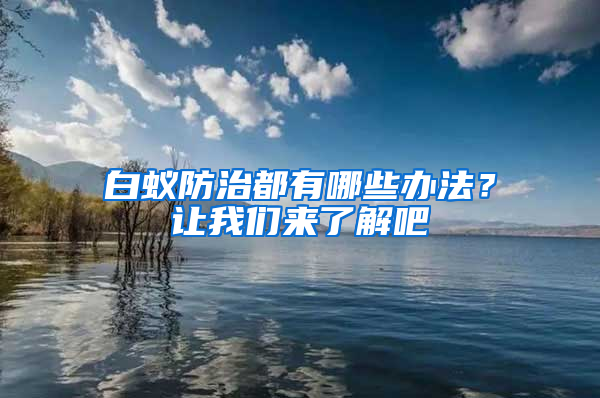 白蚁防治都有哪些办法？让我们来了解吧