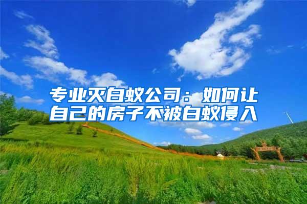 专业灭白蚁公司：如何让自己的房子不被白蚁侵入