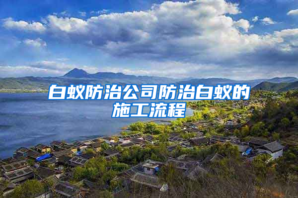 白蚁防治公司防治白蚁的施工流程