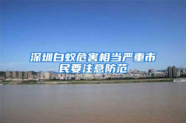 深圳白蚁危害相当严重市民要注意防范