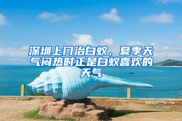 深圳上门治白蚁，夏季天气闷热时正是白蚁喜欢的天气