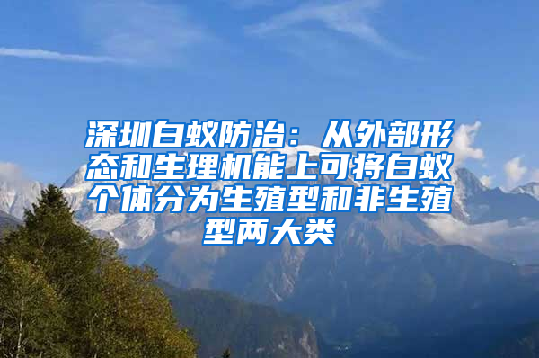 深圳白蚁防治：从外部形态和生理机能上可将白蚁个体分为生殖型和非生殖型两大类