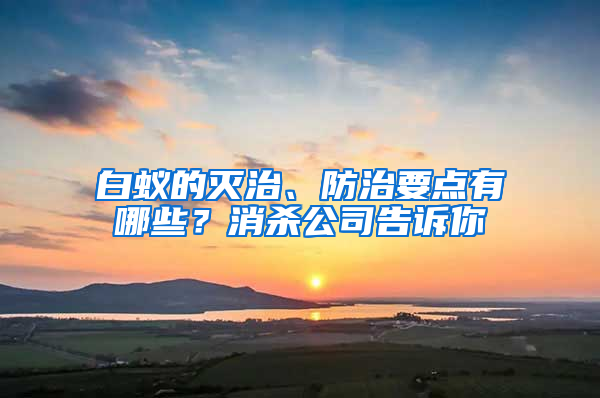 白蚁的灭治、防治要点有哪些？消杀公司告诉你