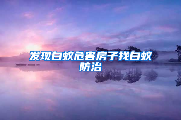 发现白蚁危害房子找白蚁防治