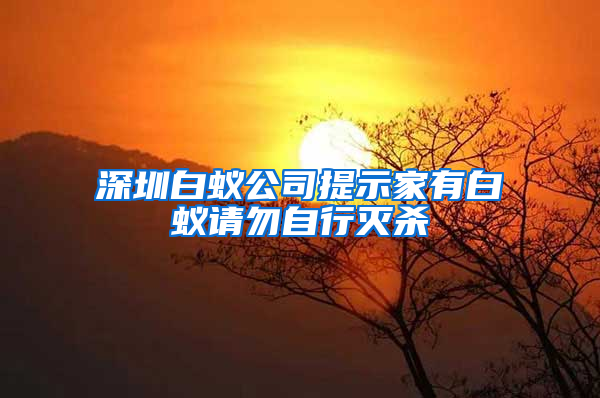 深圳白蚁公司提示家有白蚁请勿自行灭杀