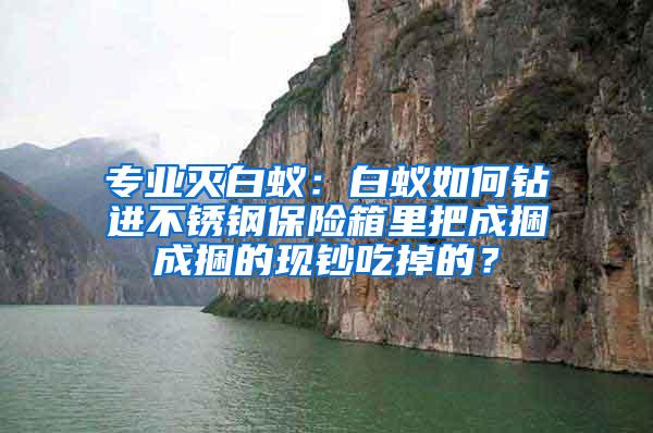 专业灭白蚁：白蚁如何钻进不锈钢保险箱里把成捆成捆的现钞吃掉的？