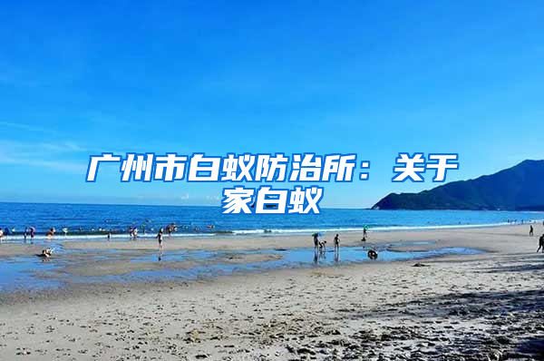 广州市白蚁防治所：关于家白蚁