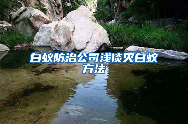 白蚁防治公司浅谈灭白蚁方法