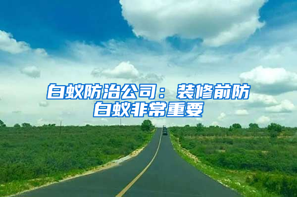 白蚁防治公司：装修前防白蚁非常重要