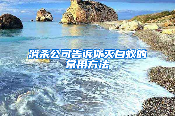 消杀公司告诉你灭白蚁的常用方法