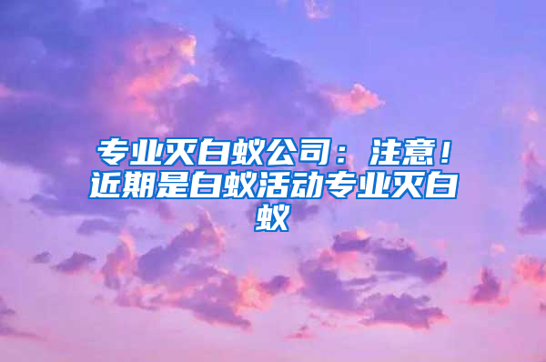 专业灭白蚁公司：注意！近期是白蚁活动专业灭白蚁