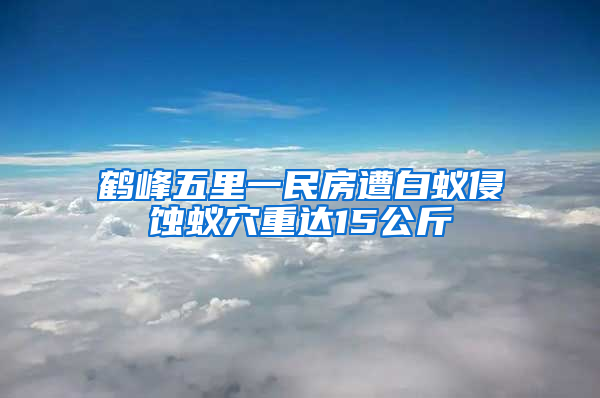 鹤峰五里一民房遭白蚁侵蚀蚁穴重达15公斤