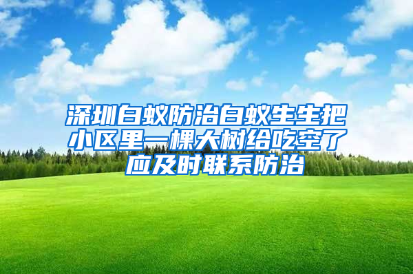 深圳白蚁防治白蚁生生把小区里一棵大树给吃空了 应及时联系防治