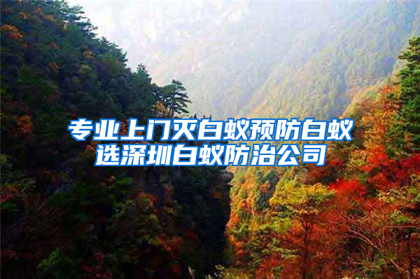 专业上门灭白蚁预防白蚁选深圳白蚁防治公司