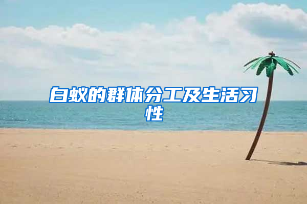 白蚁的群体分工及生活习性