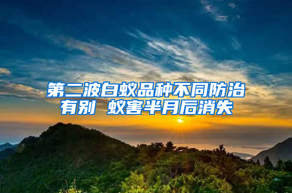 第二波白蚁品种不同防治有别 蚁害半月后消失