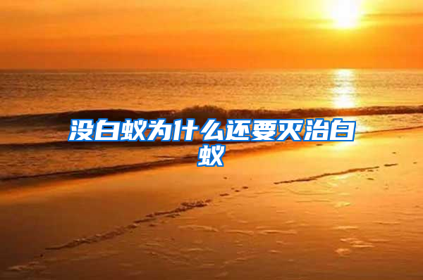 没白蚁为什么还要灭治白蚁