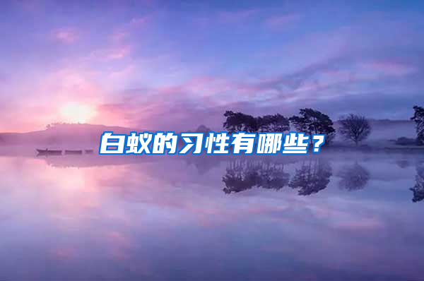 白蚁的习性有哪些？