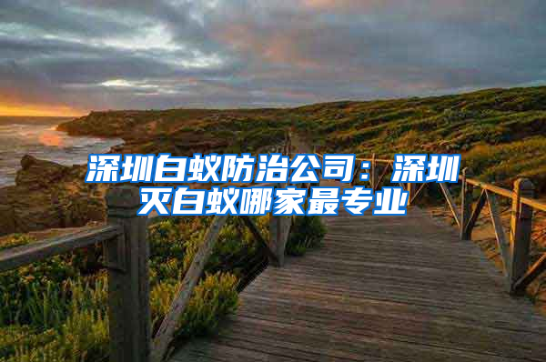 深圳白蚁防治公司：深圳灭白蚁哪家最专业