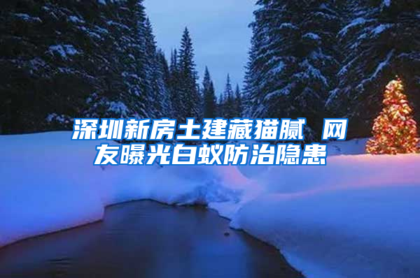 深圳新房土建藏猫腻 网友曝光白蚁防治隐患