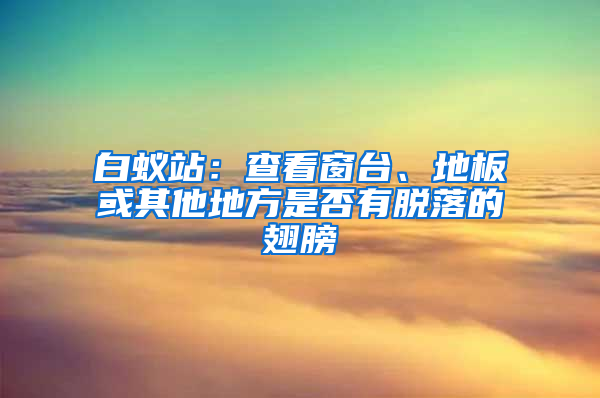 白蚁站：查看窗台、地板或其他地方是否有脱落的翅膀