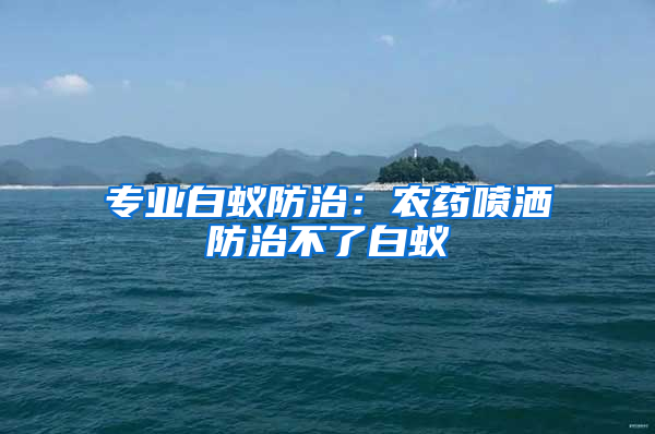 专业白蚁防治：农药喷洒防治不了白蚁