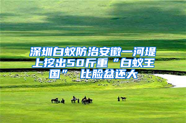 深圳白蚁防治安徽一河堤上挖出50斤重“白蚁王国” 比脸盆还大