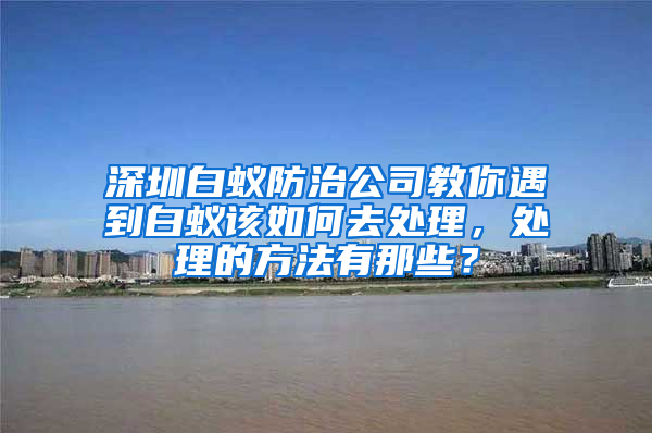 深圳白蚁防治公司教你遇到白蚁该如何去处理，处理的方法有那些？