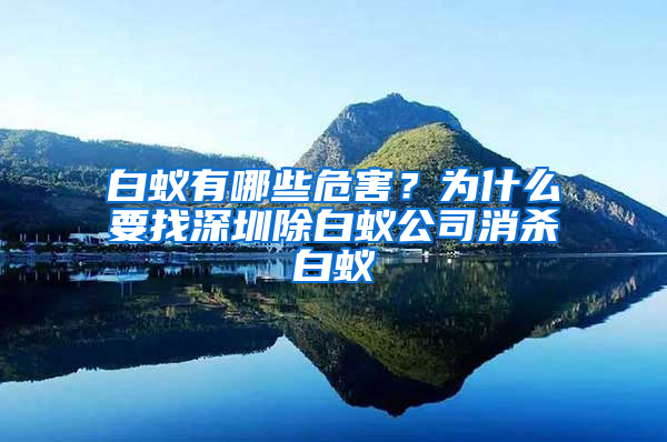 白蚁有哪些危害？为什么要找深圳除白蚁公司消杀白蚁